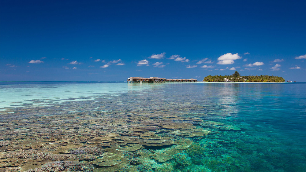 Maldive resort