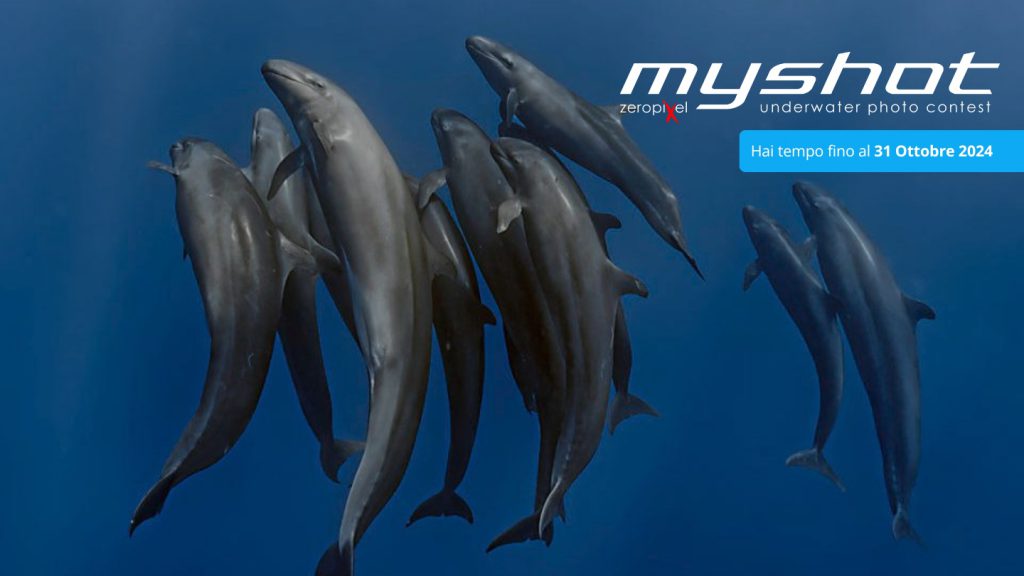myshot 2024 scubaportal concorso fotografico subacqueo