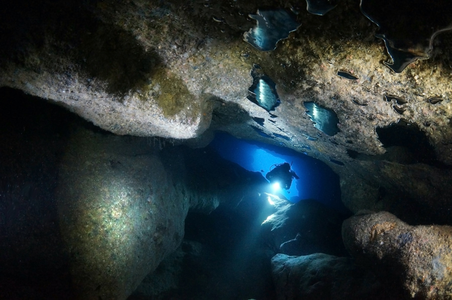 grotte immersione malta