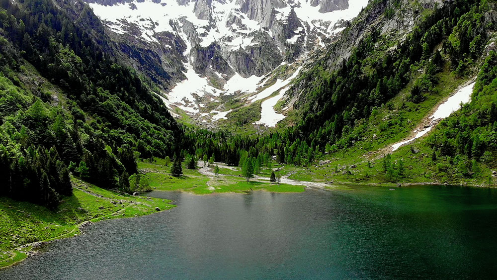 ripopolamento pesci lago svizzera