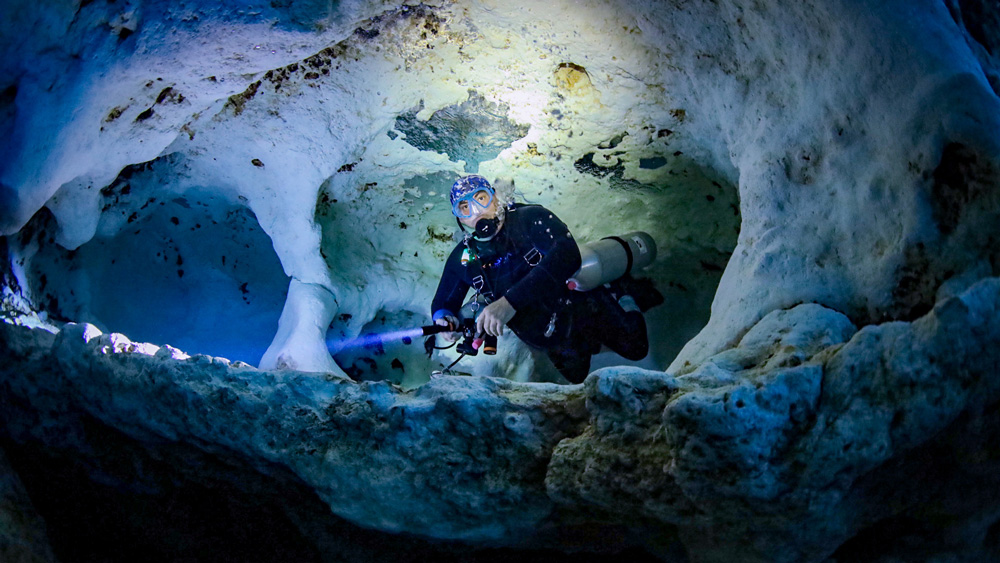 troy iloski gallery fotografica subacquea