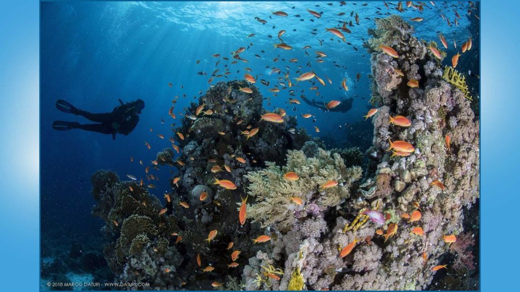 immersioni corto raggio sub