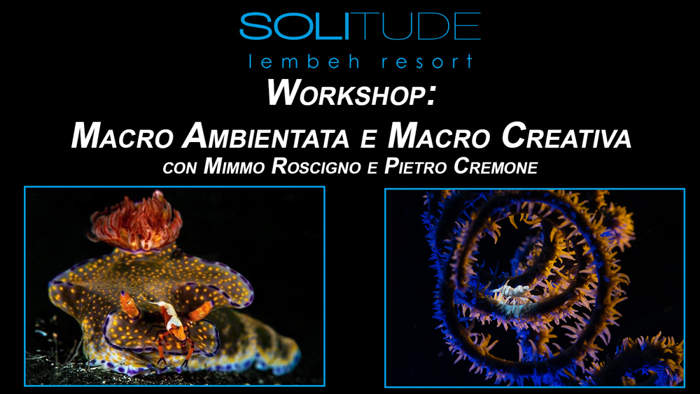 workshop fotosub macro indonesia