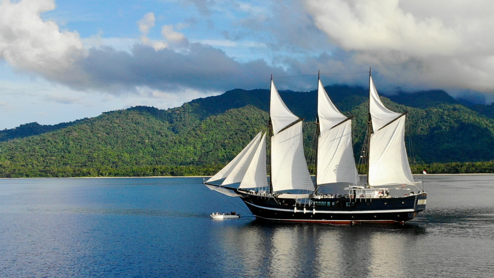 dewi nusantara bordo indonesia