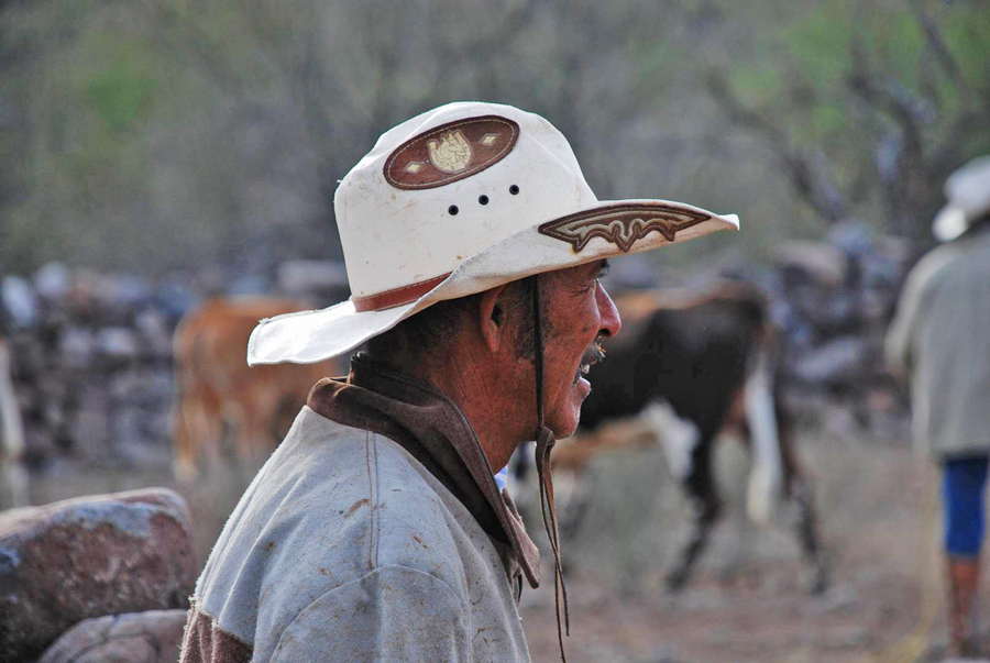 racheros viaggio baja california