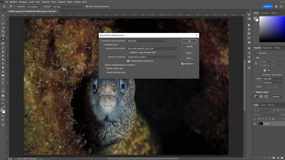 regolazione colori schermo fotografia subacquea