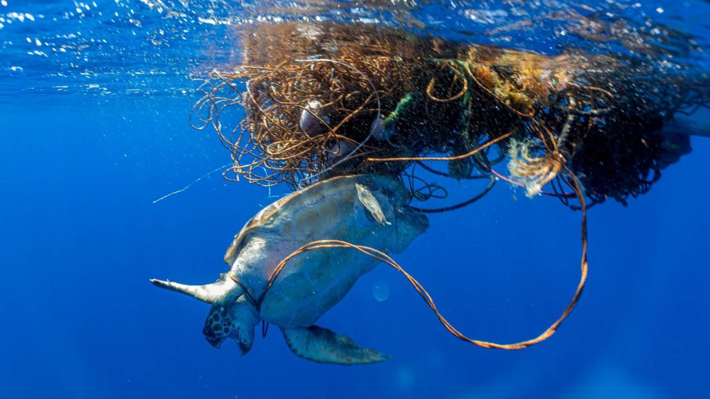 Bycatch e ghost gear seminario risoluzione