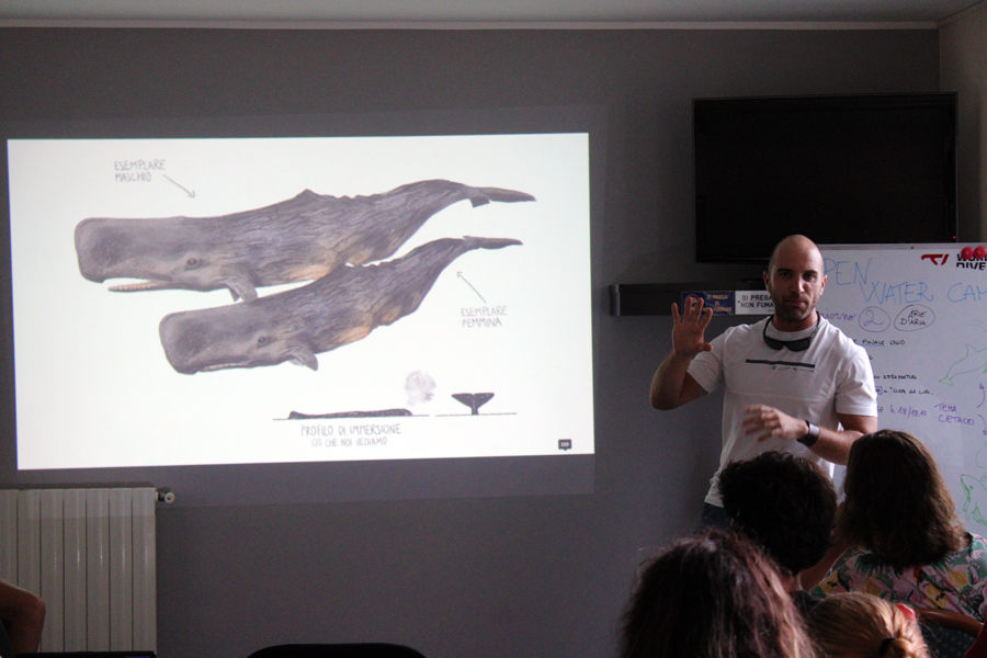 biologia marina open water camp