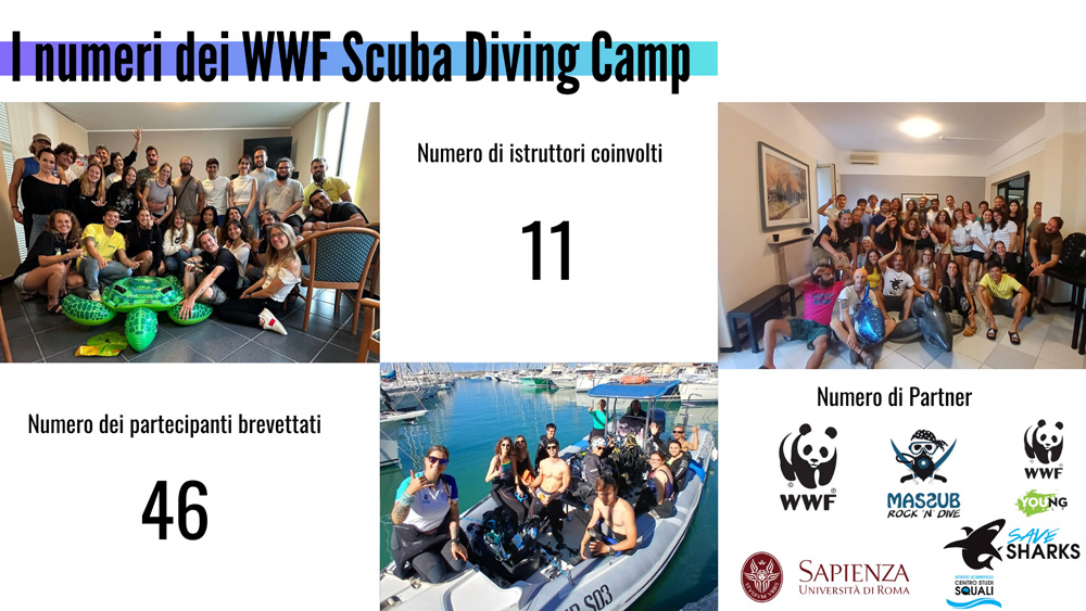 wwf e massub scuba diving camp per giovani subacquei, nuofo format risultati