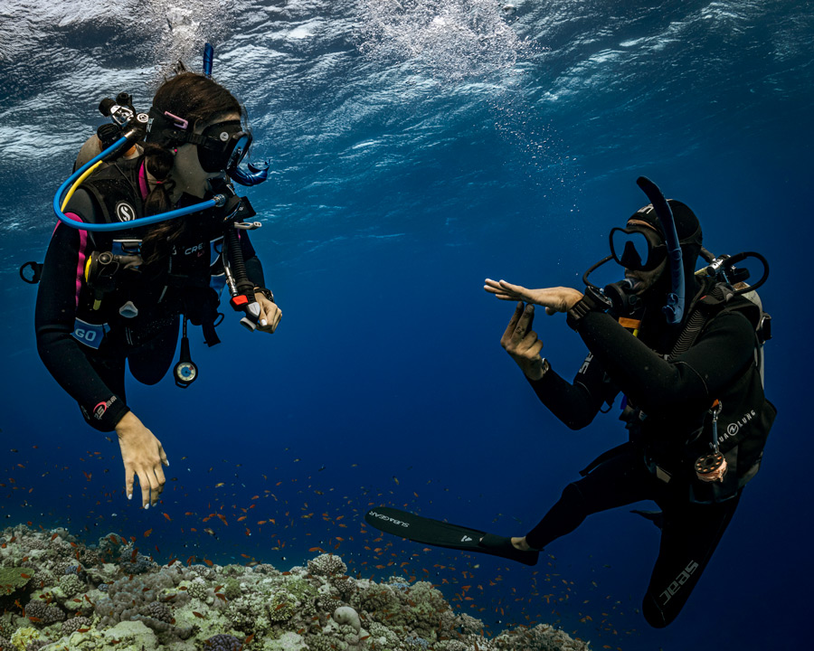 padi brevetto corso subacqueo pro