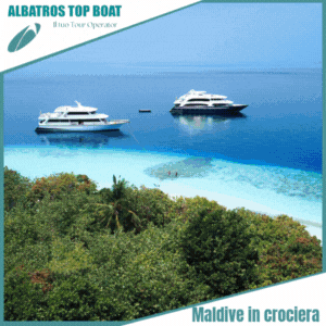 Albatros Top Boat 2025