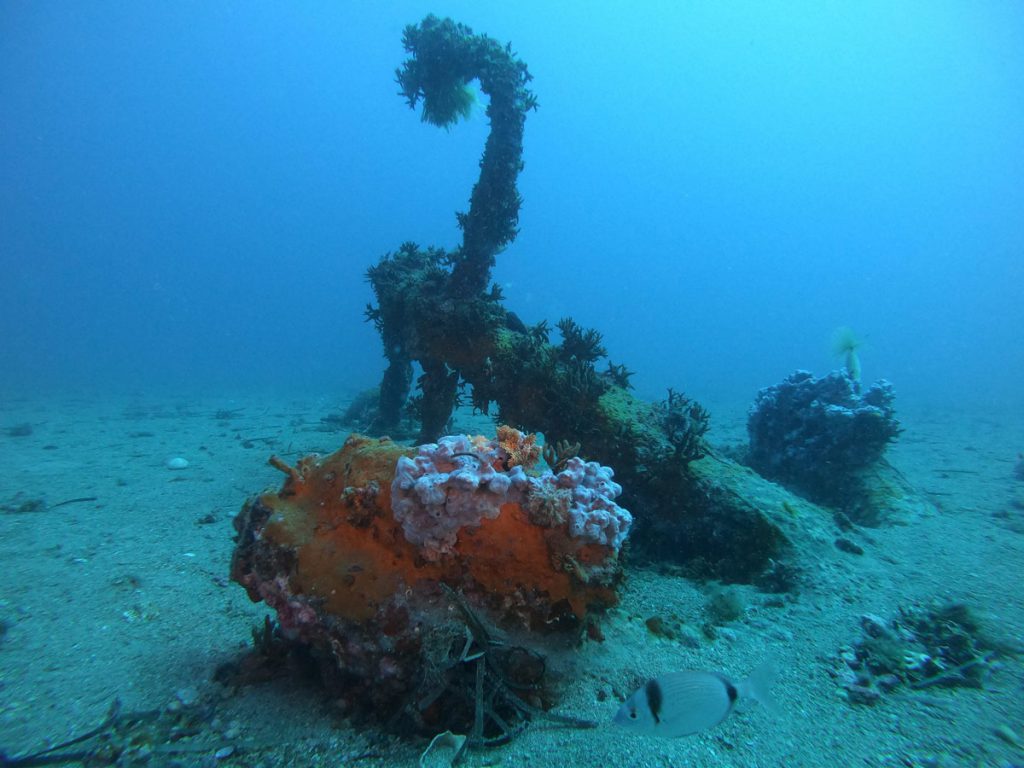 Ancora parasommergibili concrezionata ritrovata a Punta Sardegna durante un'immersione subacquea di esplorazione