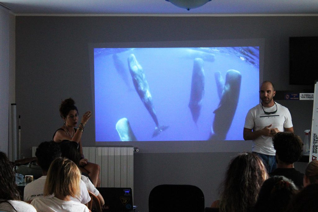 Giovani subacquei durante una lezione di biologia marina con proiezione video di capodogli, formazione teorica nei camp di subacquea.