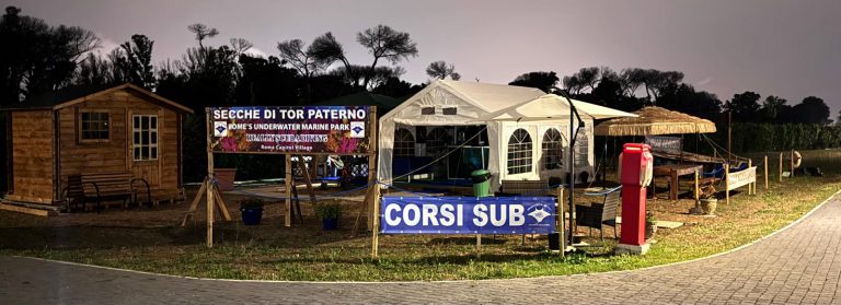 IMG 20250522 WA0017 768x279