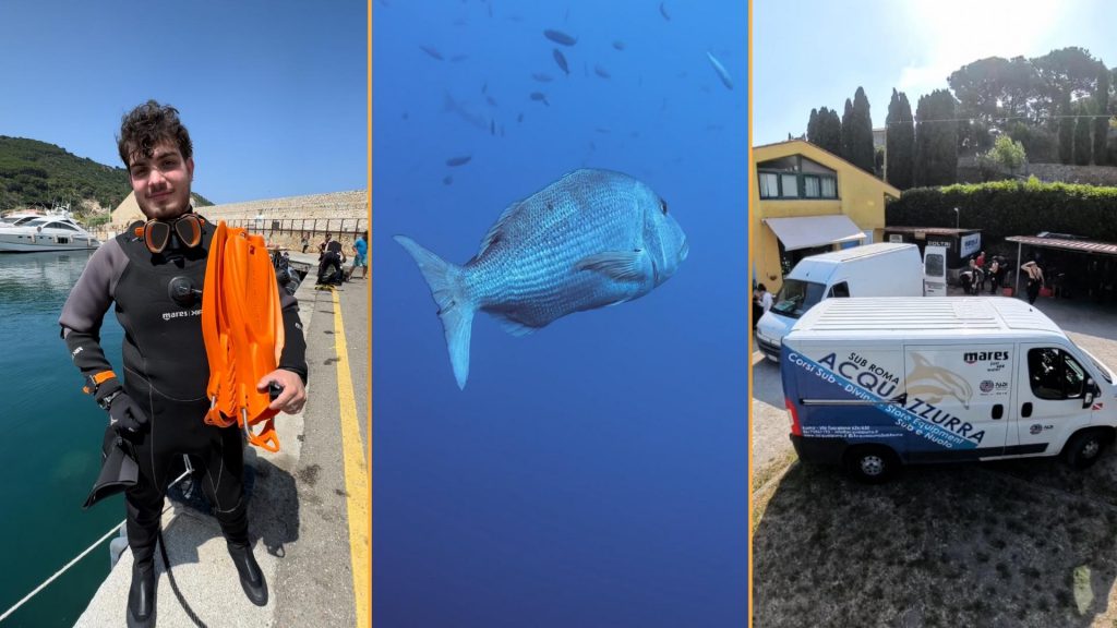 acquazzurra 40 anni mares