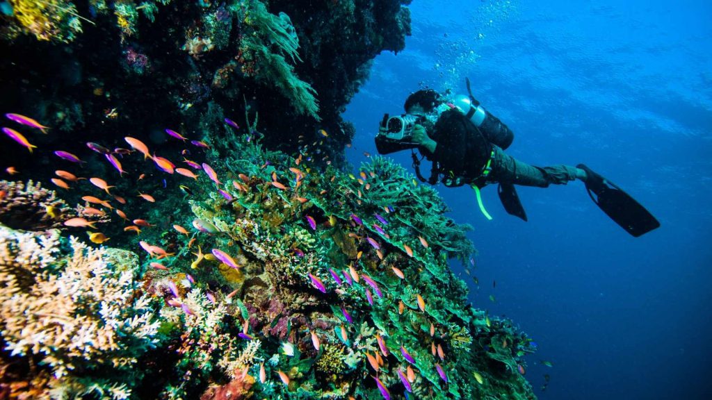 filmare pubblicare subacquei legale