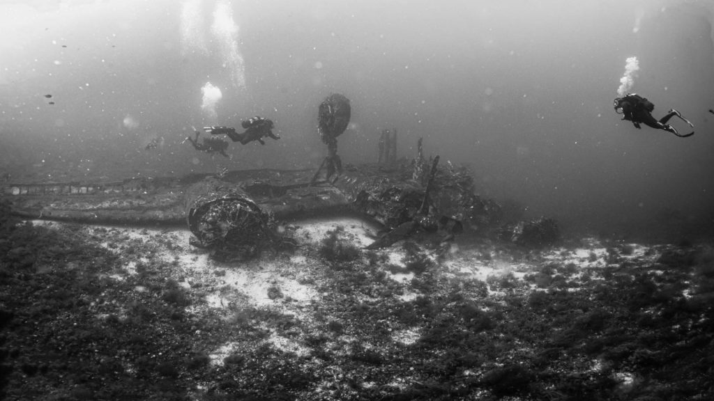 Dettaglio a colori del motore radiale di un B-24 Liberator ricoperto di spugne e piccoli pesci sul fondale