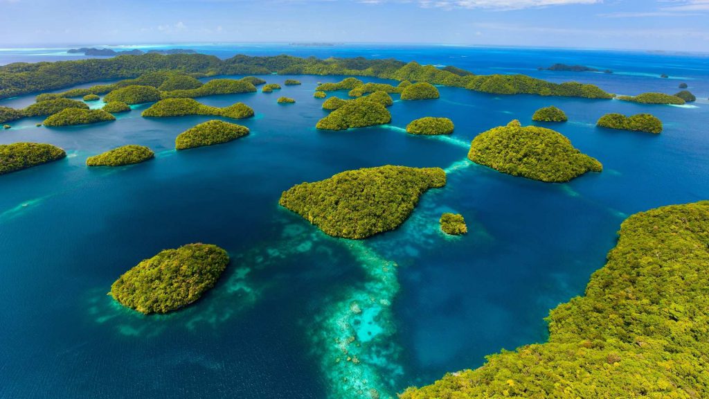 palau offerta sub agosto