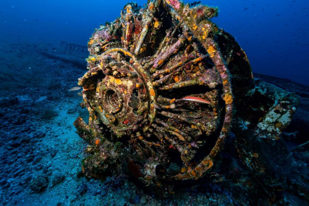 torretta incrostata del relitto di un bombardiere B-24 sul fondo marino