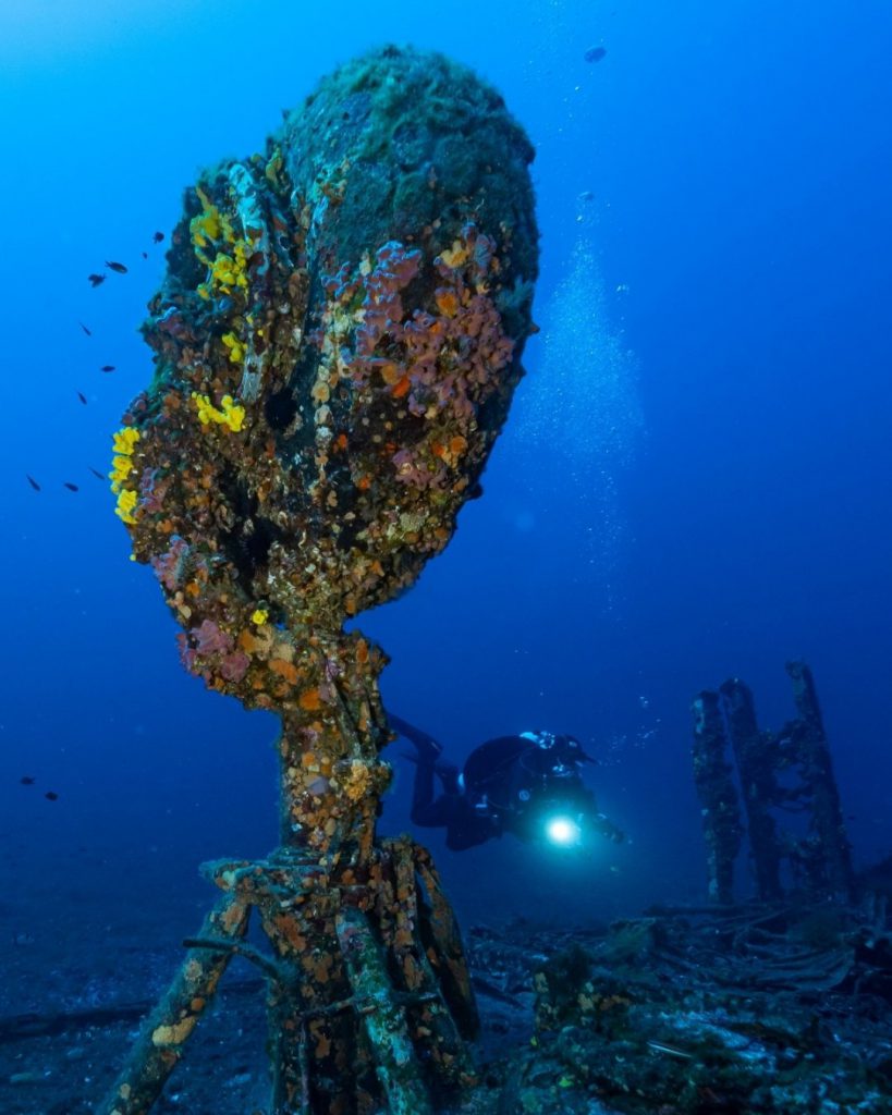 Vista subacquea di una torretta del B-24 ricoperta di spugne e incrostazioni, immersa in acque profonde