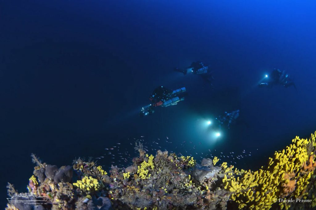 coralli sul fondale del britannic