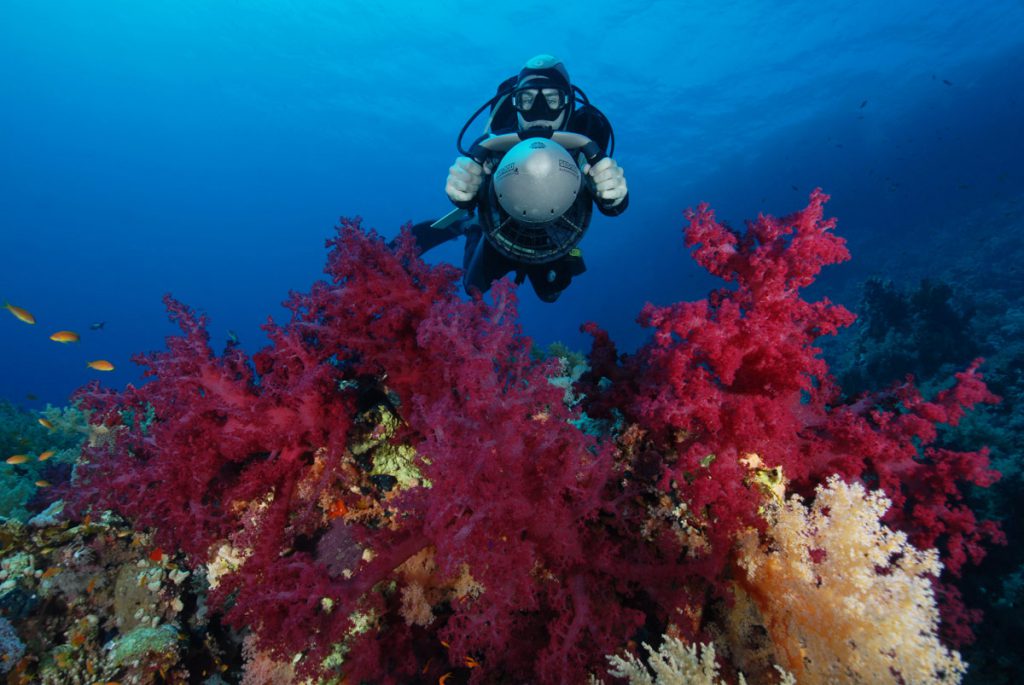 Subacqueo con scooter davanti a corallo molle colorato nel Mar Rosso