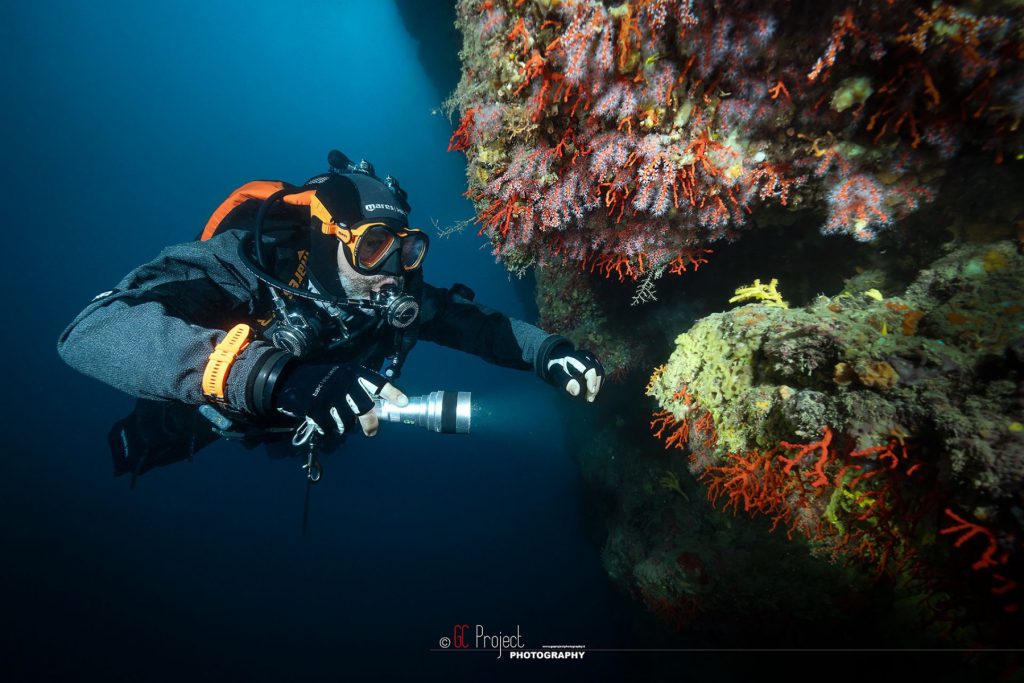 ogni respiro conta gorgonie mediterranneo