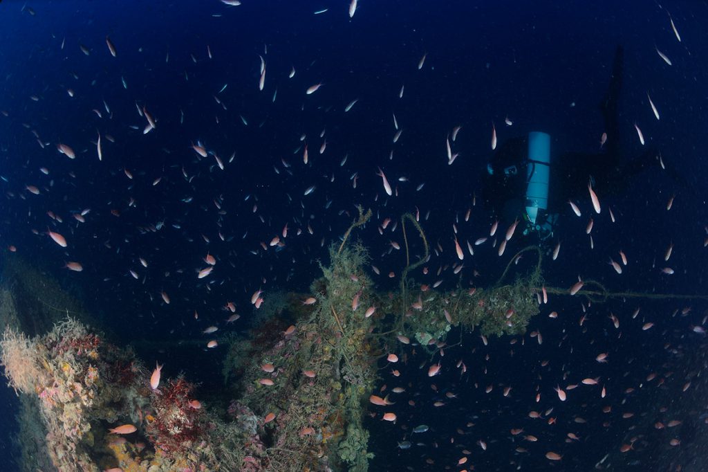 Subacqueo in assetto tecnico vicino alla prua del sommergibile Sebastiano Veniero, circondata da banchi di pesci.