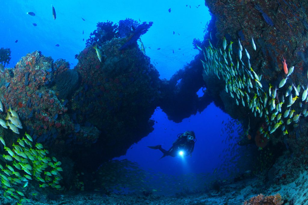 Subacqueo con torcia esplora un passaggio tra formazioni coralline durante un’immersione in corrente
