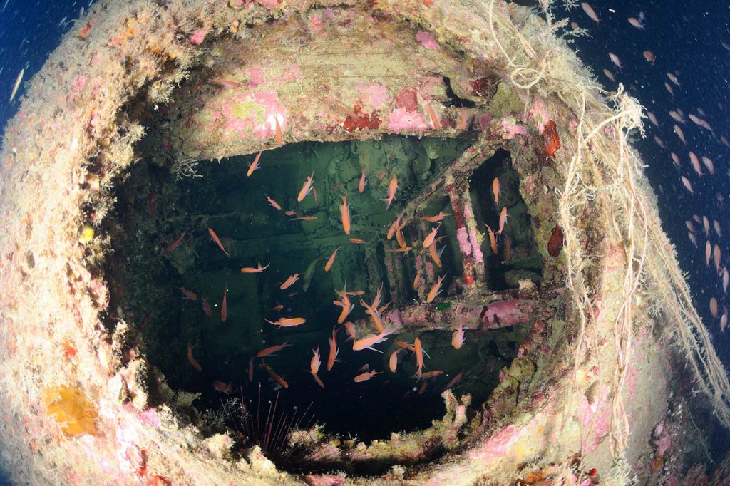 Boccaporto aperto della torretta del sommergibile in sicilia sommerso con scala interna e banchi di pesci.