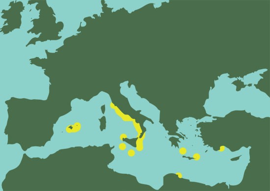 mappa mediterraneo granchio Percnon gibbesi
