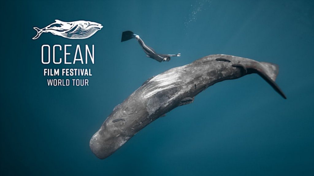 ocean film festival 2025