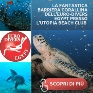 Euro divers banner quadrato 2025