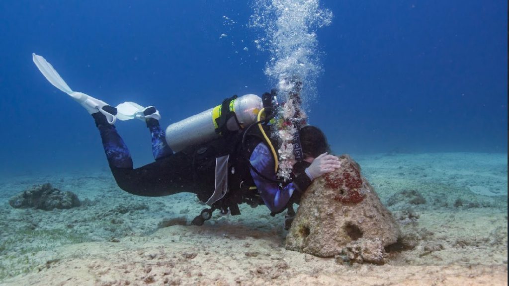 Immersione di Ashley Bugge sul memoriale subacqueo con barriera artificiale alle Hawaii marito morto sub