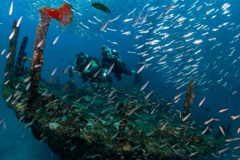 euro divers egitto utopia beach relitto 1 768x513