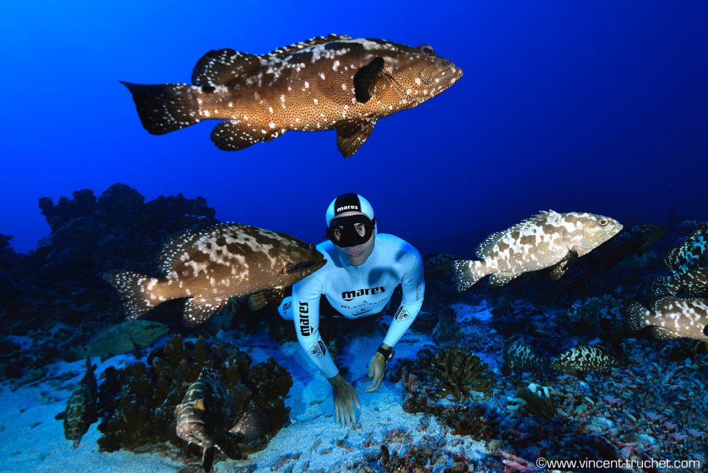 mettersi forma apnea