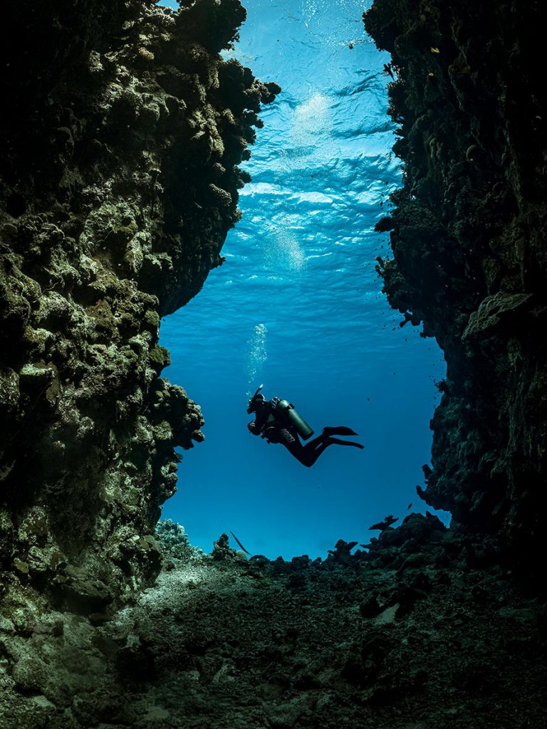 Subacqueo Padi che nuota in una gola sottomarina.