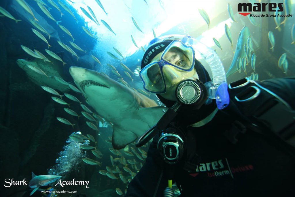 Selfie di un subacqueo con attrezzatura Mares che nuota vicino a uno squalo - Shark Week Sud Africa