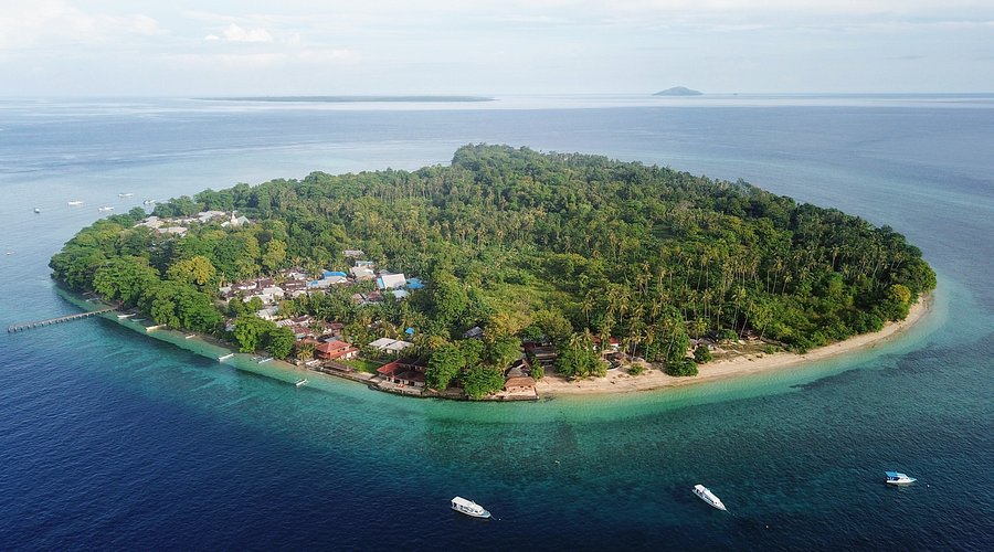 kuda laut boutique resortdive