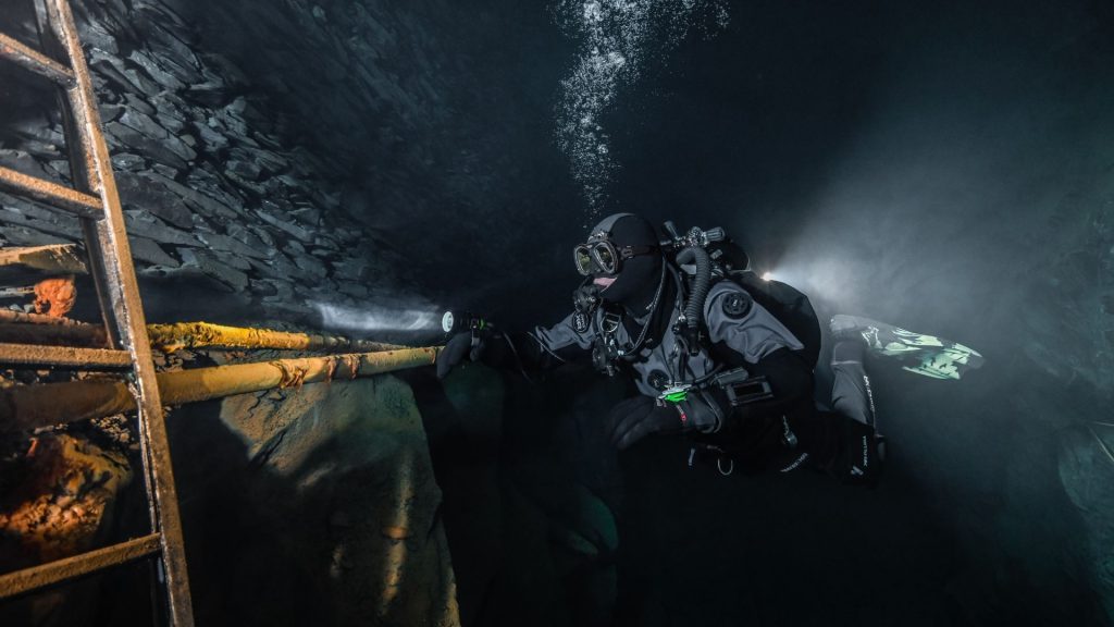 mares nuttlar muta stagna