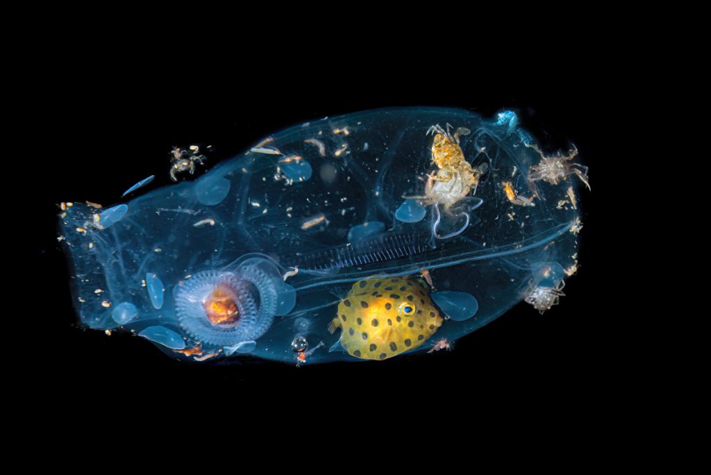 Vite protette – Massimo Giorgetta (1° classificato)