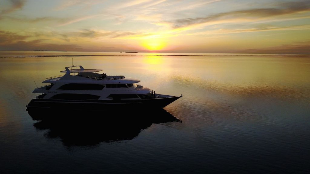 albatros top boat black friday offerta