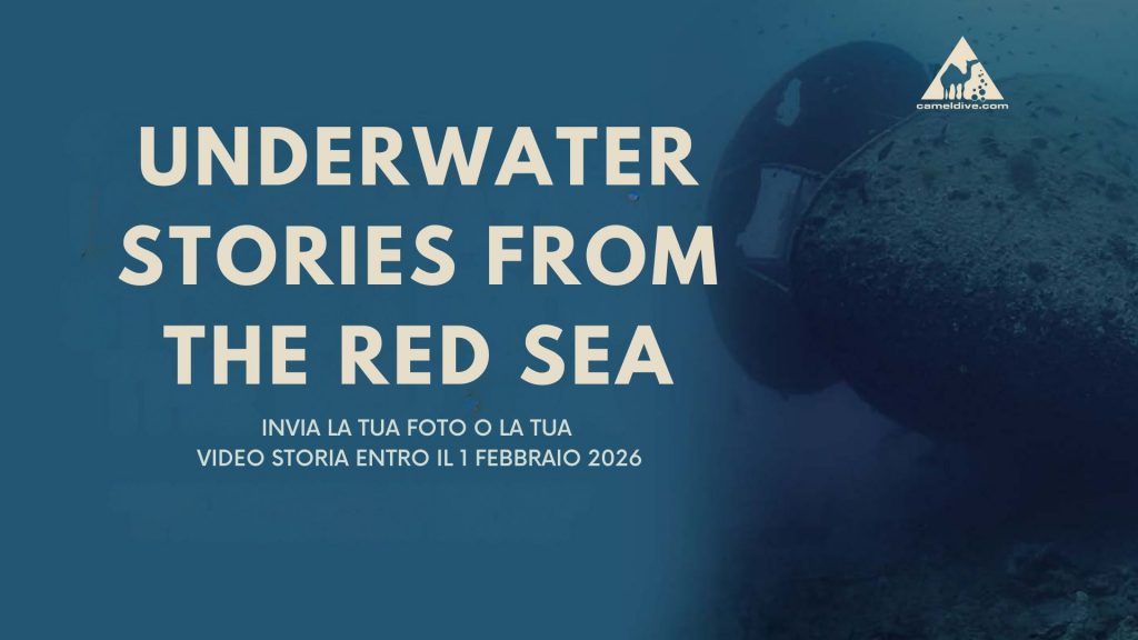 concorso fotosub camel egitto