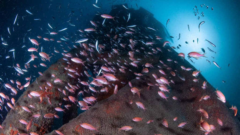 ghost gear genova carabinieri