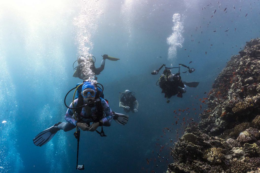 Immersioni nel Mar Rosso Ocenara