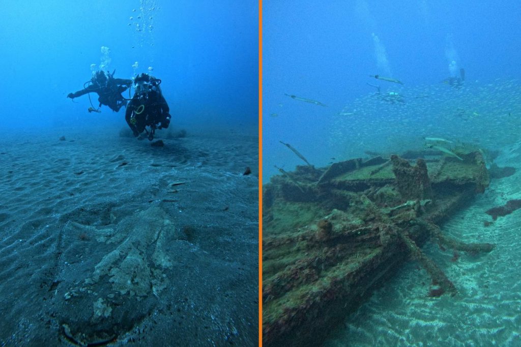 nuovo subacqueo squalo