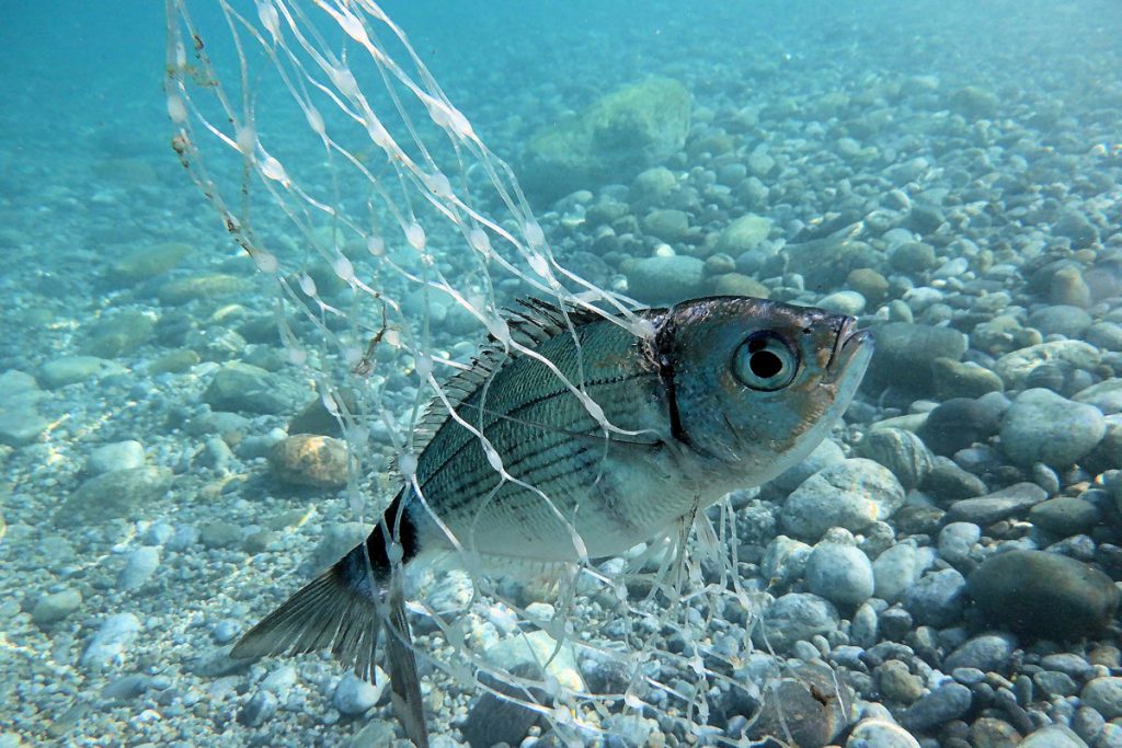 Giovanni De Marco – Secondo classificato, categoria Sotto pressione