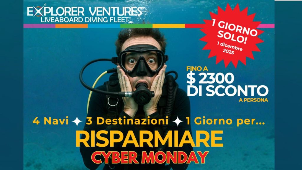 cyber monday nosytour