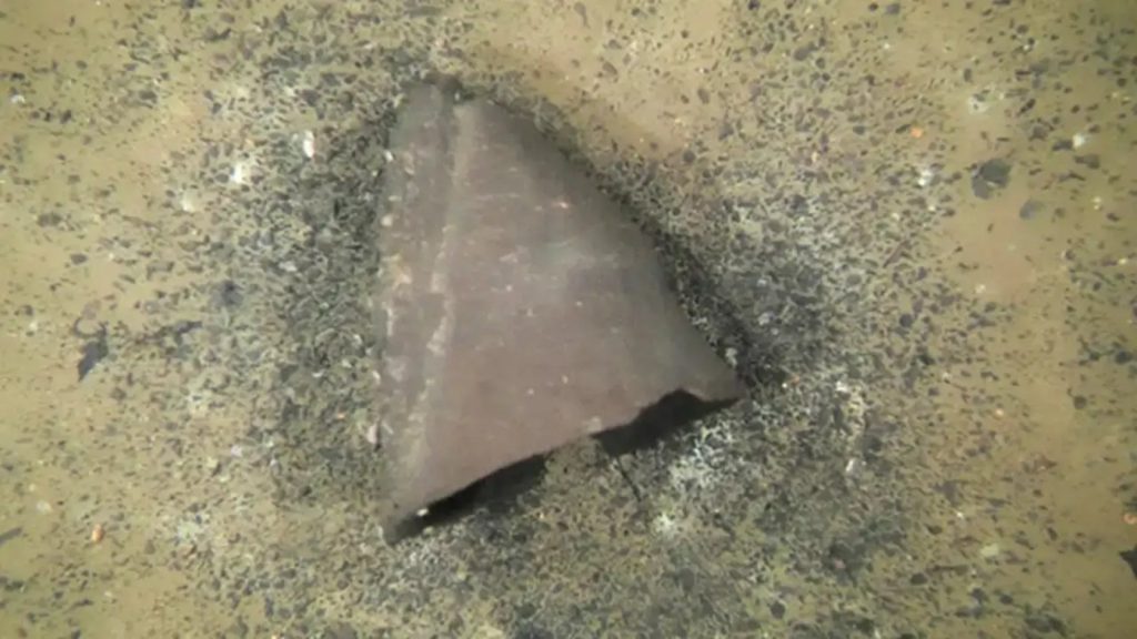 foto vaso intatto lago giappone