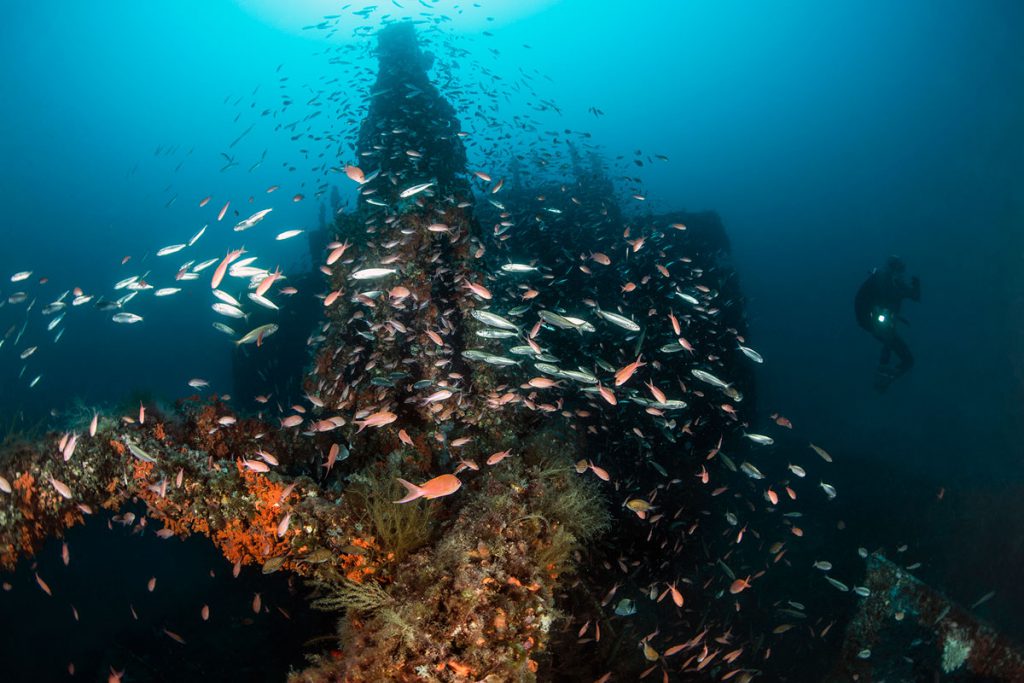 relitto kent fondale san-vito lo capo